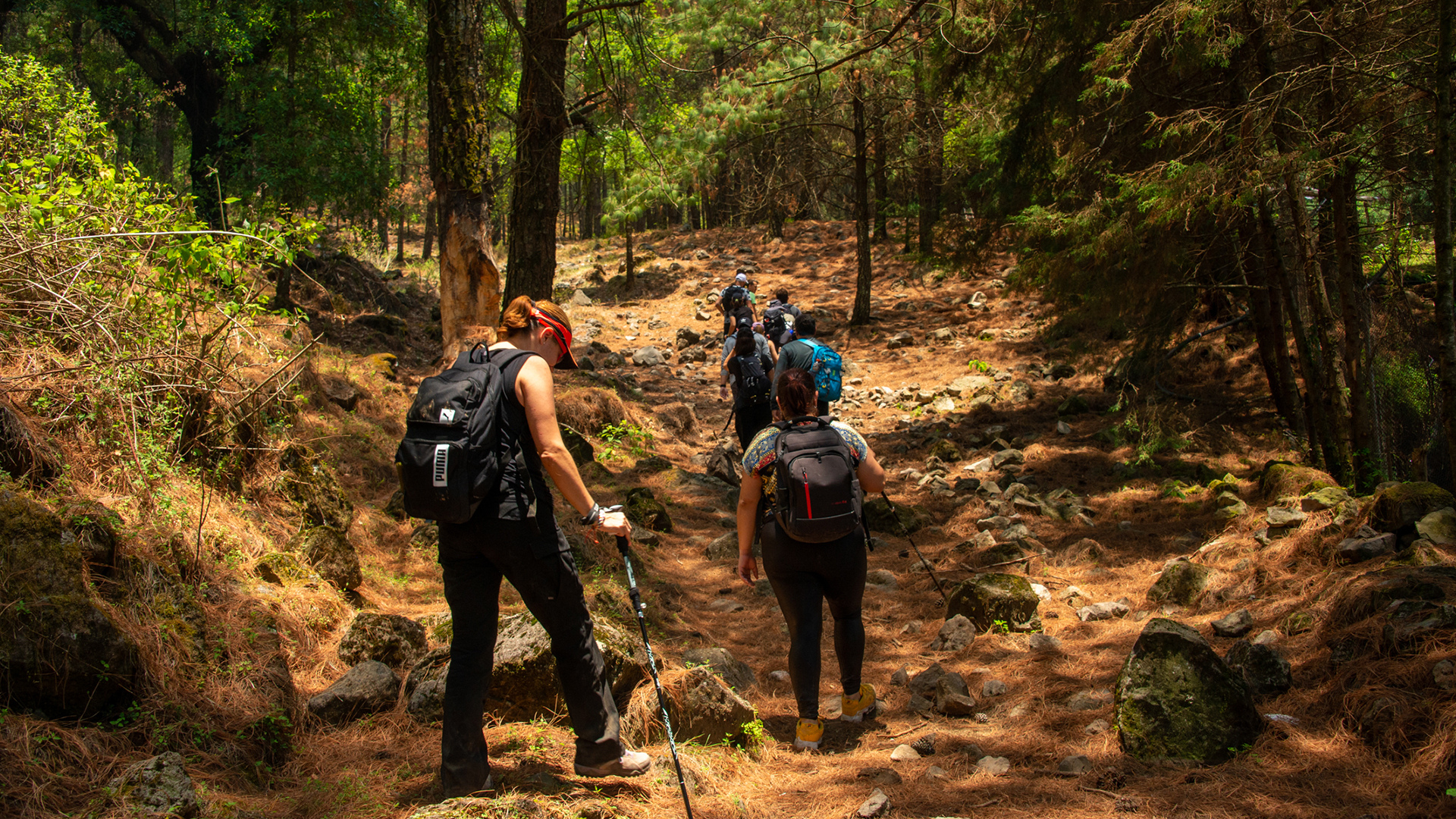 Caminata de Poder — 1