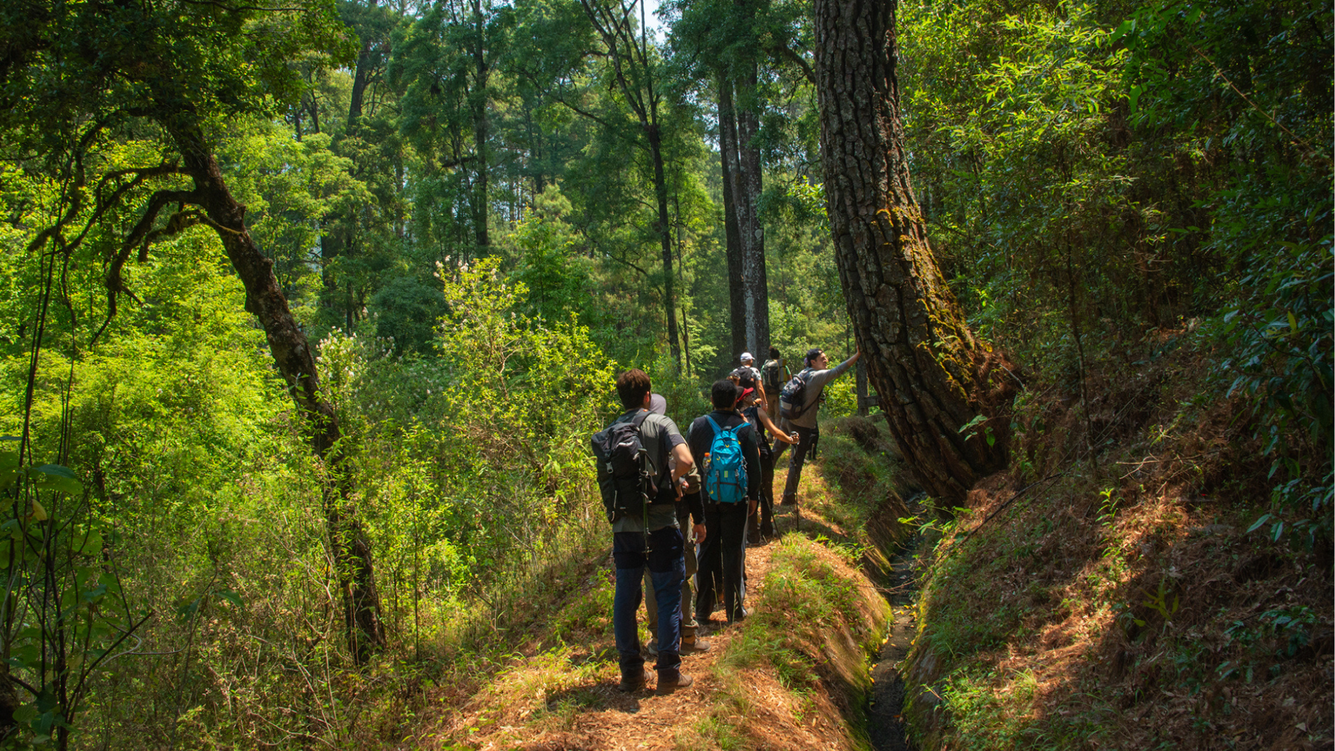 Caminata de Poder — 2