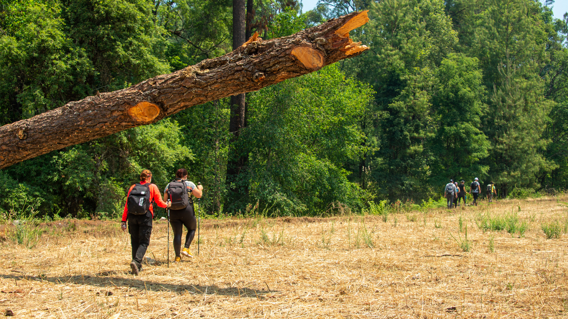 Caminata de Poder — 3